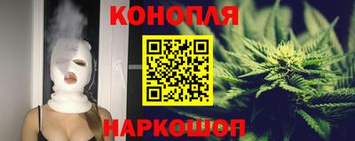 гидра Кингисепп