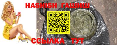 гидра Кингисепп