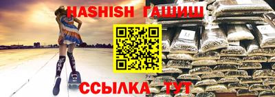 гидра Кингисепп
