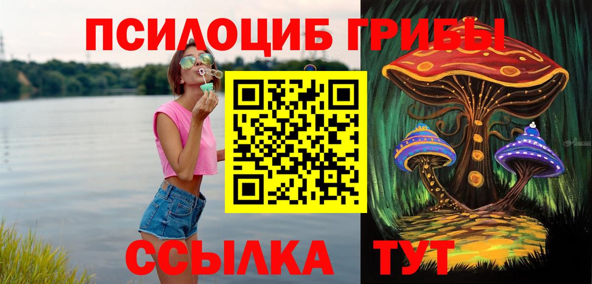 Кириши  Псилоцибиновые грибы Cubensis  наркота  Галлюциногенные грибы GOLDEN TEACHER  Вход с VPN 